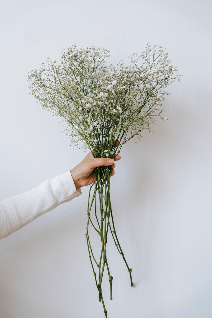 Christmas Tree Dried Gypsophila 70cm - White bunch - Desert Dreams Dried Flowers