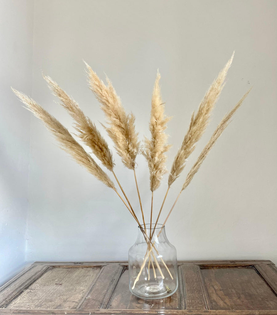 Dried pampas grass for home décor in a glass vase