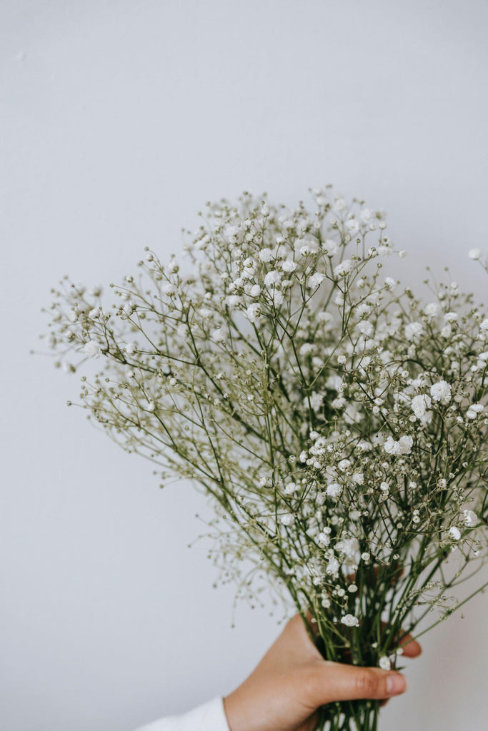 Christmas Tree Dried Gypsophila 70cm - White bunch - Desert Dreams Dried Flowers