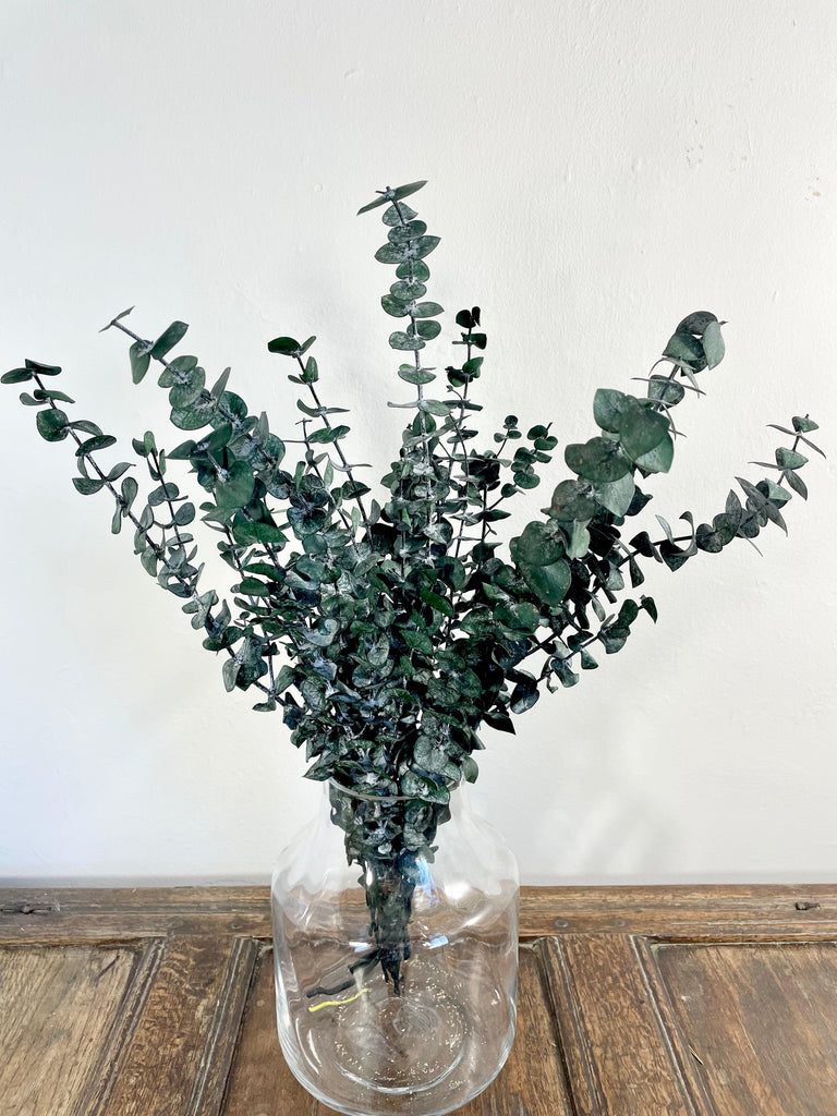Preserved Baby Eucalyptus large bunch dark green home décor in vase