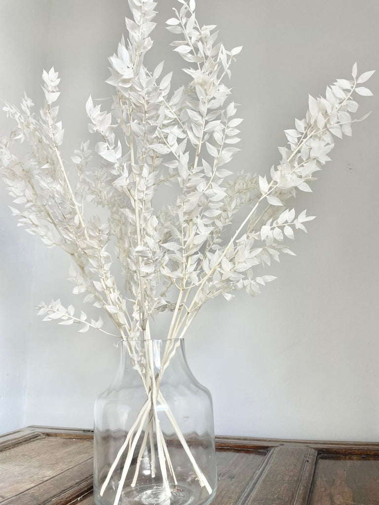 White Ruscus 70cm preserved bleached bunch in glass vase home décor 