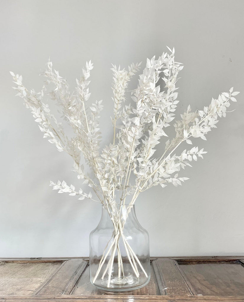 White Ruscus 70cm preserved bleached bunch in glass vase home décor 
